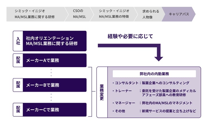 採用_図版(2024色変更)_キャリアパス 2