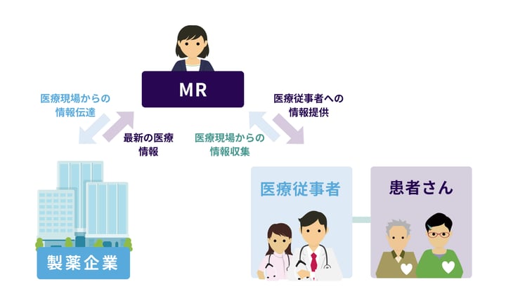 採用_図版(2024色変更)_MR_未経験者